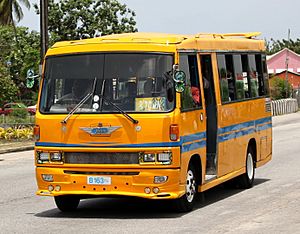 Barbados Midibus1