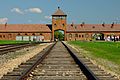 Birkenau 5