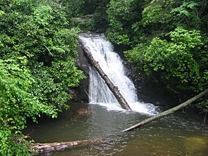 Blue Hole Falls.JPG