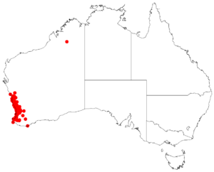 Calectasia7narragaraDistMap.png