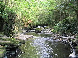 Clare Glens