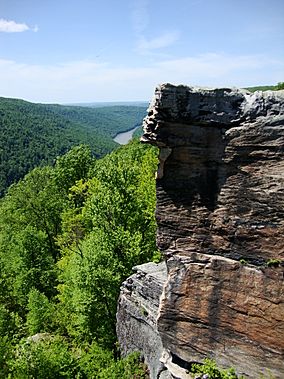 Cooper's Rock State Forest.JPG