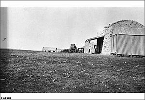 Cordillo shed