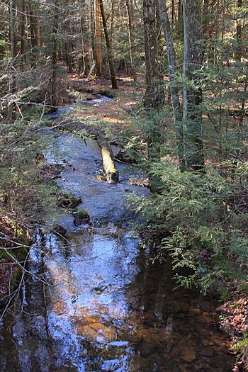 Crooked Creek looking downstream.JPG