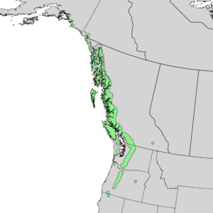 Cupressus nootkatensis range map 3.png