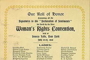 Declaration sentiments foote lrg