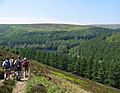 Derwent walkers