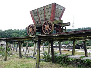 Elevated railway at Morwellham Quay - geograph.org.uk - 196316