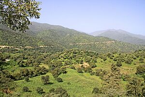 Eri landscape