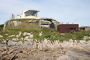 Fife Ness Lighthouse - geograph.org.uk - 937536.jpg