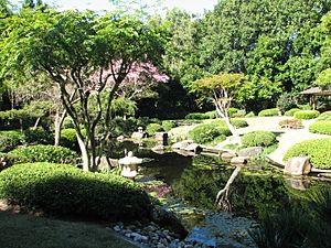 Japanese Gardens at Mt Coot-tha