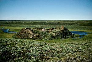 Mackenzie Delta, Pingo, Tuktoyaktuk (3)