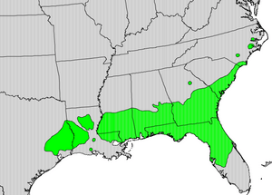 Magnolia grandiflora map.png