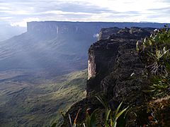 Mount Roraima, Venezuela (12371474504)