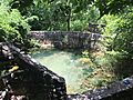 Old Mill Spring Austin