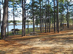 PBJohnson State Park Picnic Area.jpg