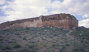 Pasargad citadel.jpg