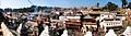 Pashupati dec 20 2009