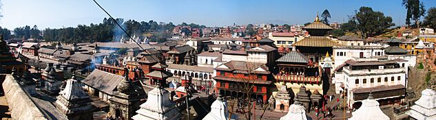 Pashupati dec 20 2009