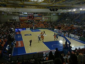 Polideportivo Fernando Martín, Fuenlabrada