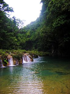 Pozas de Semuc Champey (4)