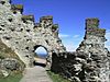 The Ruins - geograph.org.uk - 401663.jpg