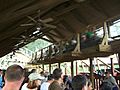 Thunderhead (Dollywood) 04