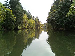 Tualatin River at Browns Ferry Park Tualatin