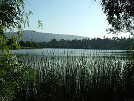 Vasona park.jpg