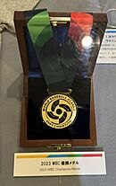 WBC 2023 Gold Medal