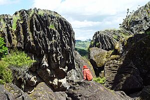 Wairere boulders2.jpg