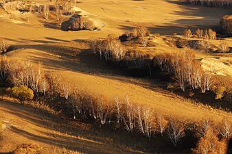 坝上 木兰围场 - panoramio - wuqiang beijing (12)