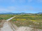 Año Nuevo State Reserve.JPG