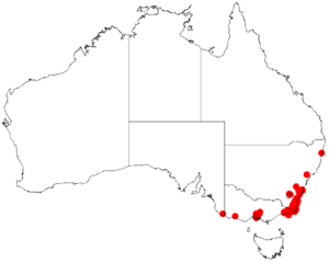 Acacia cognataDistMap200.png