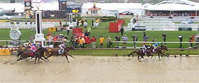 American Pharoah start of Preakness Stakes