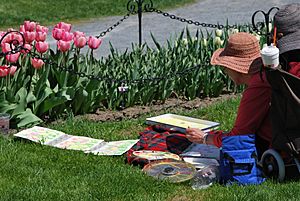 Artist at Albany Tulip Fest