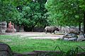 Brookfield zoo 0294