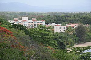 Caguabo, Añasco, Puerto Rico