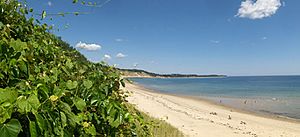 Cedarvillecapecodbay