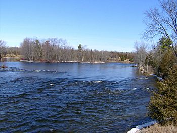 Crowe River.jpg