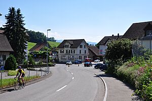 Ermenswil (Eschenbach) 2010-06-25 16-09-30