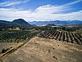 Farms near Mascota