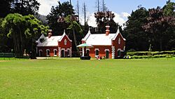 Government Botanical Garden Ooty India.jpg