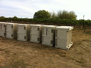 Harvest bins