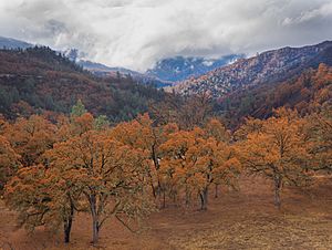 High Bridge Trail at Berryessa Snow Mountain National Monument