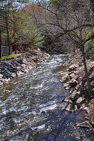 Hunlock Creek looking downstream