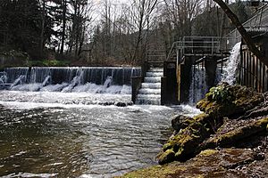 Issaquah Creek - Upper Dam.jpg