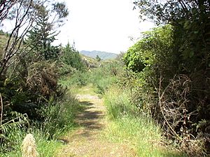 Kaitoke railway station 06