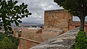 La Alzaba de la Alhambra 17