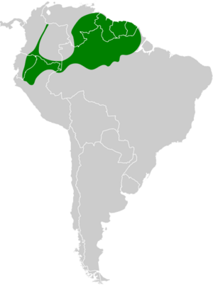 Lanio fulvus map.svg